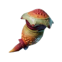 Glande d'ammoniac