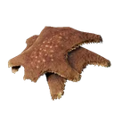Fourrure