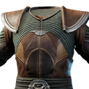 Plastron d'assassin