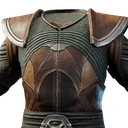 Plastron d'assassin