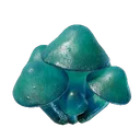 Plant de russule azur