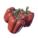 Poivron