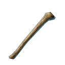 Os