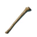 Os