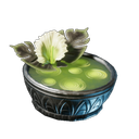 Soupe de Calla Luna