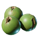 Noix de coco
