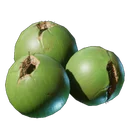 Noix de coco