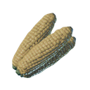 Épi de maïs