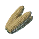 Épi de maïs