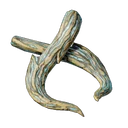 Défense de sanglier corrompue