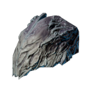 Carapace de bestioles