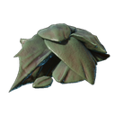 Écailles de drak