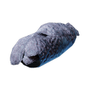 Fourrure séchée