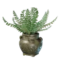 Pot de fougère