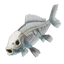 Arêtes de poisson
