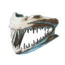 Dents de poisson