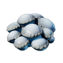 Spore de Brume fraîche