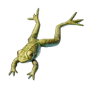 Grenouille