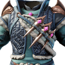 Plastron de pourfendeur des gelures