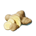 Gingembre