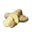 Gingembre