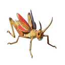 Sauterelle