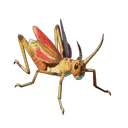 Grasshopper