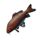 Sauteur des lacs grillé