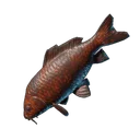 Sauteur des lacs grillé