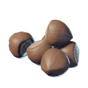 Noisette