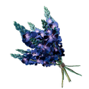 Plante d'indigo