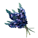 Plante d'indigo
