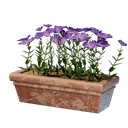 Long pot de fleurs rose
