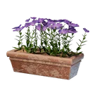 Long pot de fleurs rose