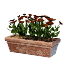 Pot de fleurs vide I