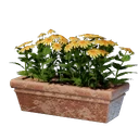 Long pot de fleurs jaune