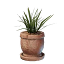 Pot d'herbe moyen