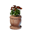 Pot à fleurs rouge moyen
