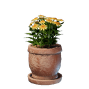 Pot à fleurs jaune moyen