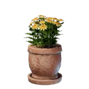 Pot à fleurs jaune moyen