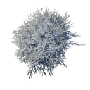 Mycélium (Matériau)