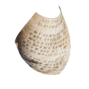Papier