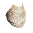 Papier