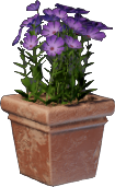 Pot à fleurs rose (carré)