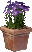 Pot à fleurs rose (carré)