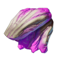 Viande de champignon rose