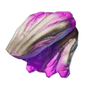Viande de champignon rose