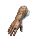 Gants de porte-peste