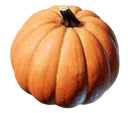 Citrouille
