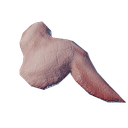 Viande d'oiseau crue